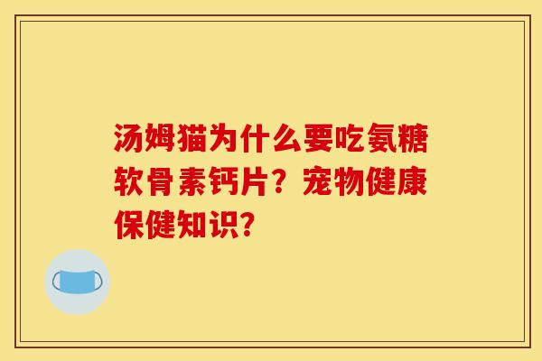 汤姆猫为什么要吃氨糖软骨素钙片？宠物健康保健知识？