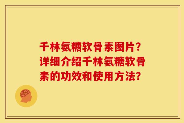 千林氨糖软骨素图片？详细介绍千林氨糖软骨素的功效和使用方法？
