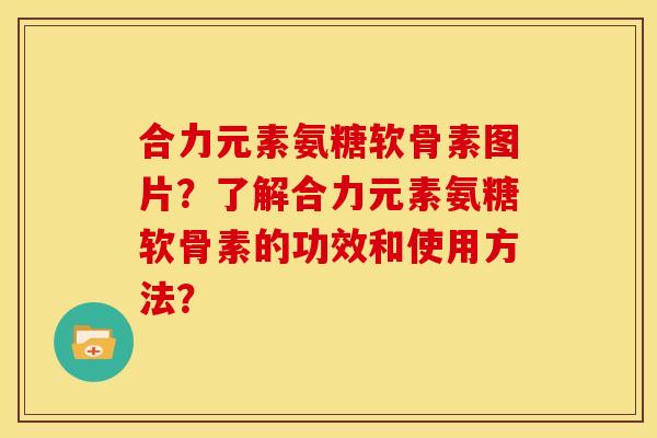 合力元素氨糖软骨素图片？了解合力元素氨糖软骨素的功效和使用方法？