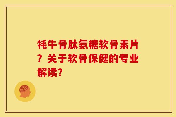 牦牛骨肽氨糖软骨素片？关于软骨保健的专业解读？