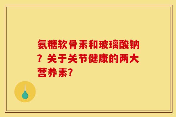 氨糖软骨素和玻璃酸钠？关于关节健康的两大营养素？