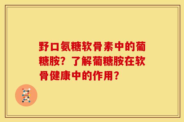 野口氨糖软骨素中的葡糖胺？了解葡糖胺在软骨健康中的作用？