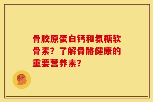骨胶原蛋白钙和氨糖软骨素？了解骨骼健康的重要营养素？