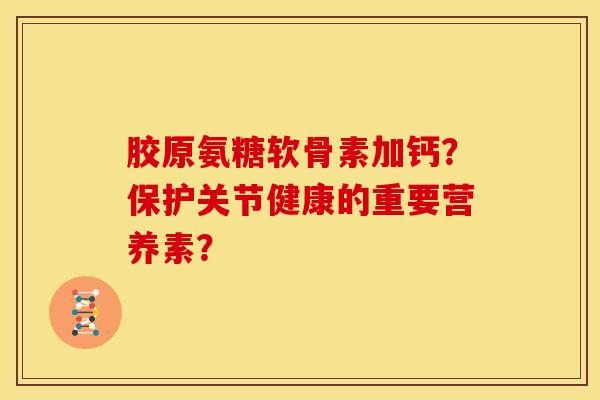 胶原氨糖软骨素加钙？保护关节健康的重要营养素？