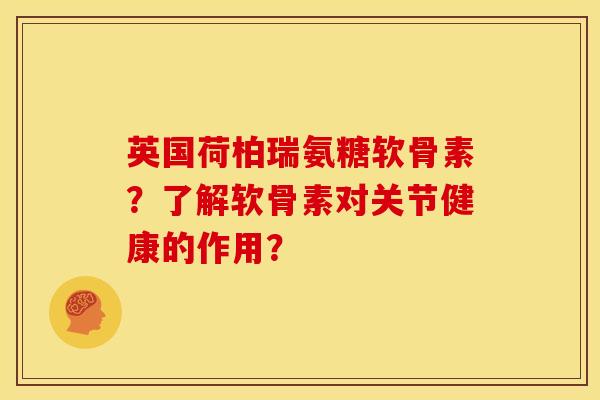 英国荷柏瑞氨糖软骨素？了解软骨素对关节健康的作用？