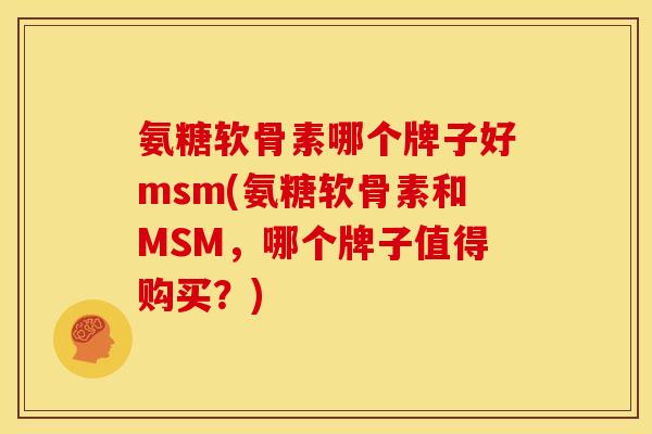 氨糖软骨素哪个牌子好msm(氨糖软骨素和MSM，哪个牌子值得购买？)