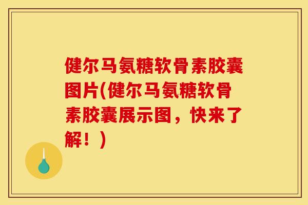 健尔马氨糖软骨素胶囊图片(健尔马氨糖软骨素胶囊展示图，快来了解！)