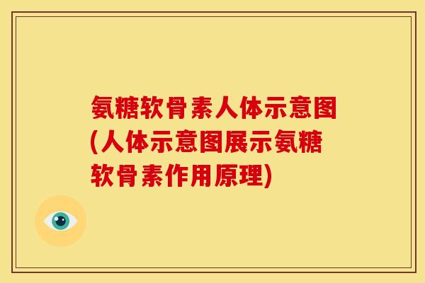 氨糖软骨素人体示意图(人体示意图展示氨糖软骨素作用原理)