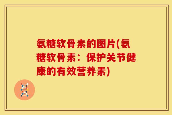 氨糖软骨素的图片(氨糖软骨素：保护关节健康的有效营养素)
