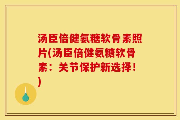汤臣倍健氨糖软骨素照片(汤臣倍健氨糖软骨素：关节保护新选择！)