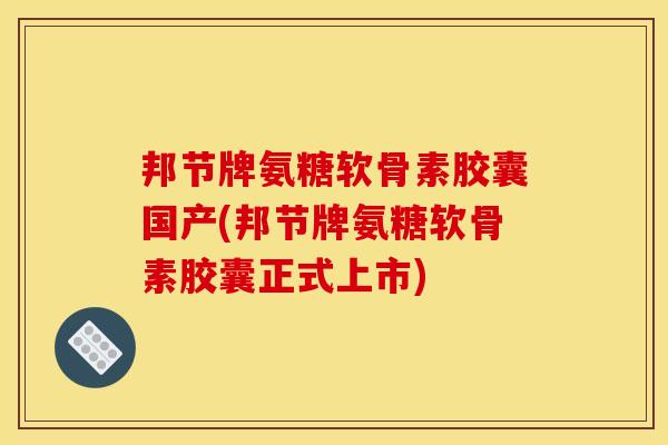 邦节牌氨糖软骨素胶囊国产(邦节牌氨糖软骨素胶囊正式上市)