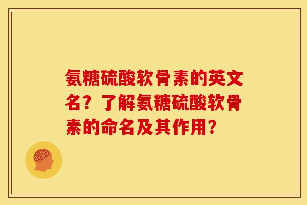 氨糖硫酸软骨素的英文名？了解氨糖硫酸软骨素的命名及其作用？