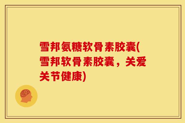 雪邦氨糖软骨素胶囊(雪邦软骨素胶囊，关爱关节健康)
