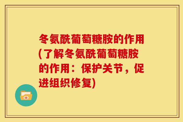 冬氨酰葡萄糖胺的作用(了解冬氨酰葡萄糖胺的作用：保护关节，促进组织修复)