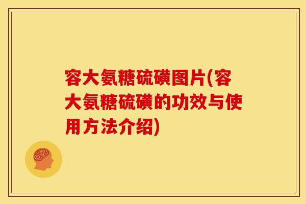 容大氨糖硫磺图片(容大氨糖硫磺的功效与使用方法介绍)