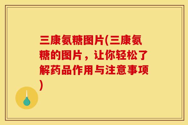 三康氨糖图片(三康氨糖的图片，让你轻松了解药品作用与注意事项)