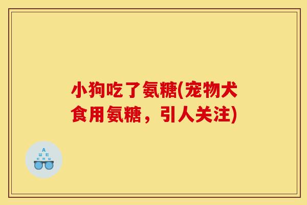 小狗吃了氨糖(宠物犬食用氨糖，引人关注)