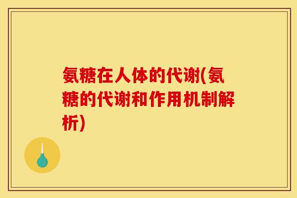 氨糖在人体的代谢(氨糖的代谢和作用机制解析)