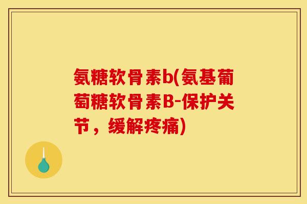 氨糖软骨素b(氨基葡萄糖软骨素B-保护关节，缓解疼痛)