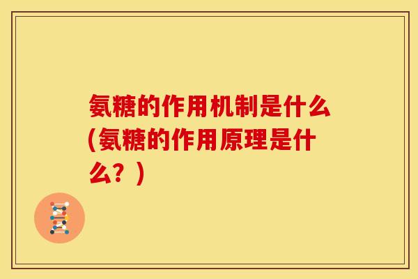 氨糖的作用机制是什么(氨糖的作用原理是什么？)