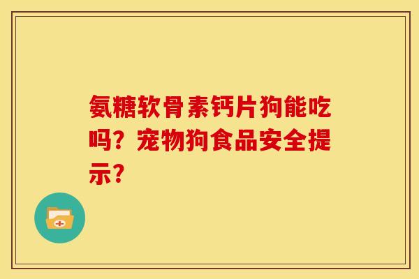 氨糖软骨素钙片狗能吃吗？宠物狗食品安全提示？