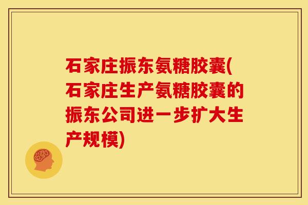 石家庄振东氨糖胶囊(石家庄生产氨糖胶囊的振东公司进一步扩大生产规模)