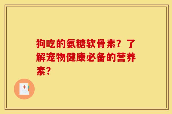 狗吃的氨糖软骨素？了解宠物健康必备的营养素？