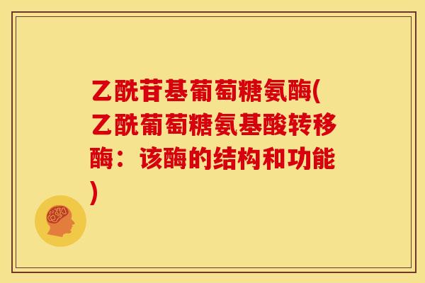 乙酰苷基葡萄糖氨酶(乙酰葡萄糖氨基酸转移酶：该酶的结构和功能)