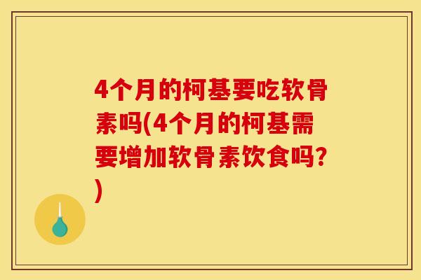 4个月的柯基要吃软骨素吗(4个月的柯基需要增加软骨素饮食吗？)