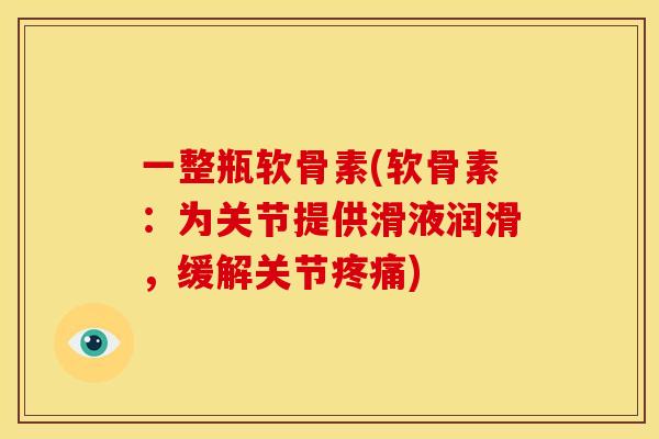 一整瓶软骨素(软骨素：为关节提供滑液润滑，缓解关节疼痛)