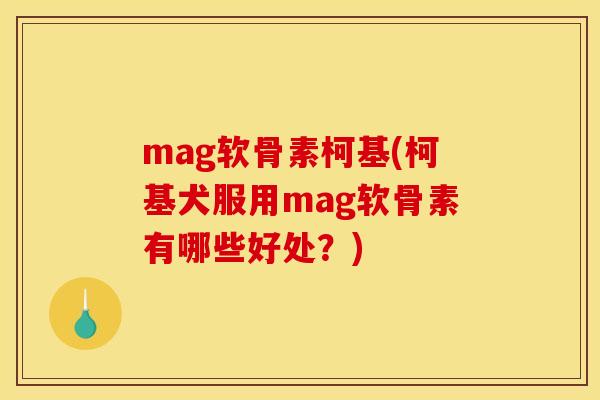 mag软骨素柯基(柯基犬服用mag软骨素有哪些好处？)