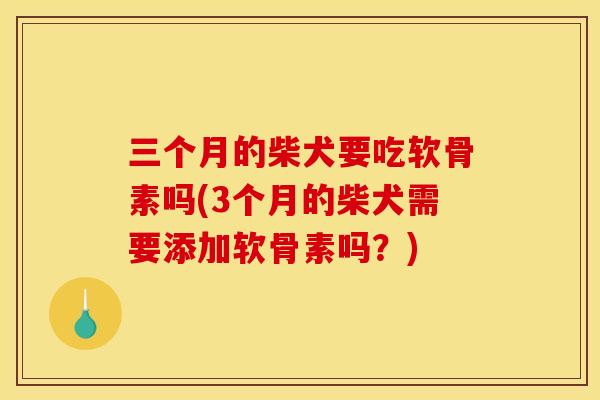 三个月的柴犬要吃软骨素吗(3个月的柴犬需要添加软骨素吗？)