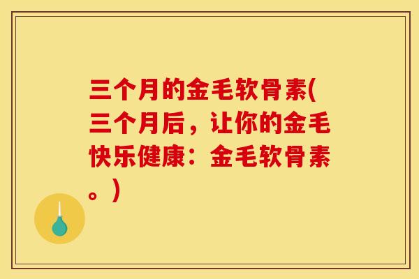 三个月的金毛软骨素(三个月后，让你的金毛快乐健康：金毛软骨素。)