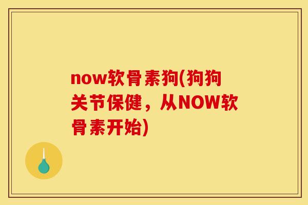 now软骨素狗(狗狗关节保健，从NOW软骨素开始)