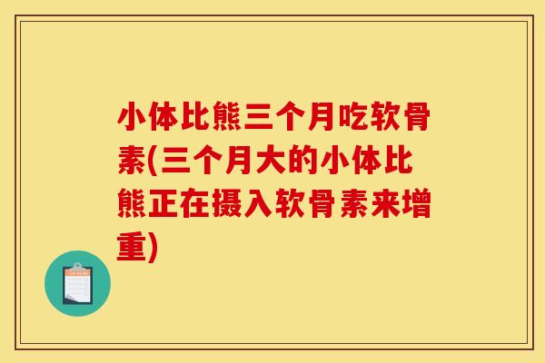 小体比熊三个月吃软骨素(三个月大的小体比熊正在摄入软骨素来增重)