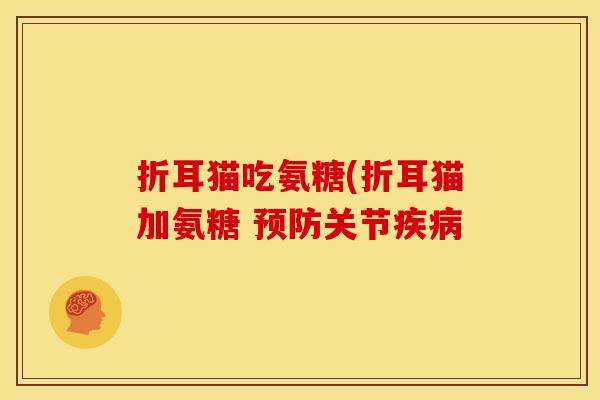 折耳猫吃氨糖(折耳猫加氨糖 预防关节疾病