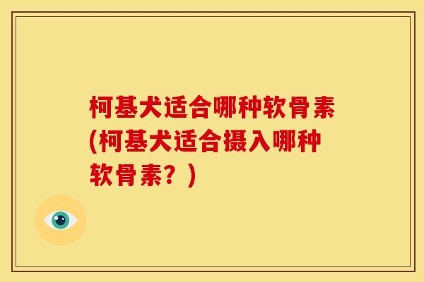 柯基犬适合哪种软骨素(柯基犬适合摄入哪种软骨素？)