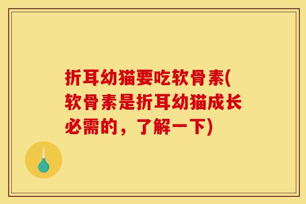 折耳幼猫要吃软骨素(软骨素是折耳幼猫成长必需的，了解一下)