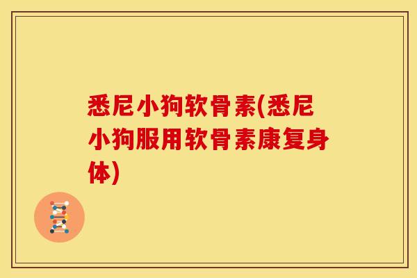悉尼小狗软骨素(悉尼小狗服用软骨素康复身体)