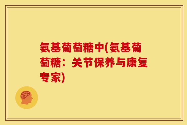 氨基葡萄糖中(氨基葡萄糖：关节保养与康复专家)