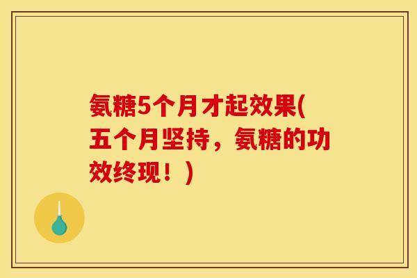 氨糖5个月才起效果(五个月坚持，氨糖的功效终现！)