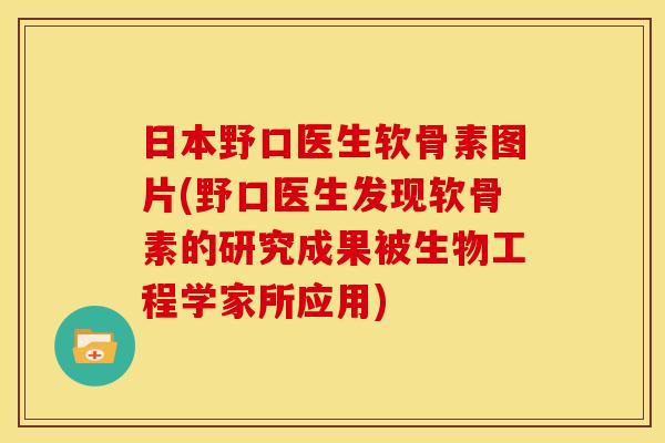 日本野口医生软骨素图片(野口医生发现软骨素的研究成果被生物工程学家所应用)
