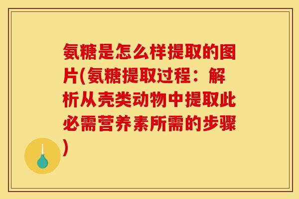 氨糖是怎么样提取的图片(氨糖提取过程：解析从壳类动物中提取此必需营养素所需的步骤)