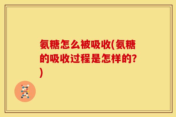 氨糖怎么被吸收(氨糖的吸收过程是怎样的？)