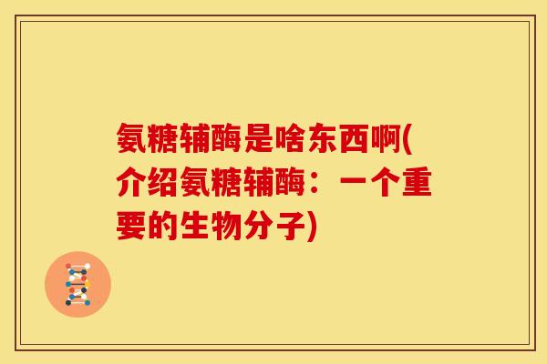 氨糖辅酶是啥东西啊(介绍氨糖辅酶：一个重要的生物分子)