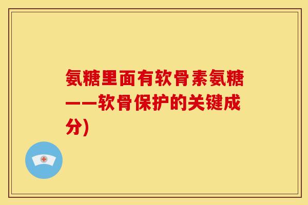 氨糖里面有软骨素氨糖——软骨保护的关键成分)