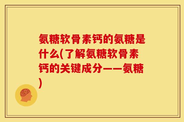 氨糖软骨素钙的氨糖是什么(了解氨糖软骨素钙的关键成分——氨糖)