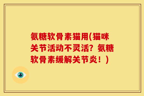 氨糖软骨素猫用(猫咪关节活动不灵活？氨糖软骨素缓解关节炎！)
