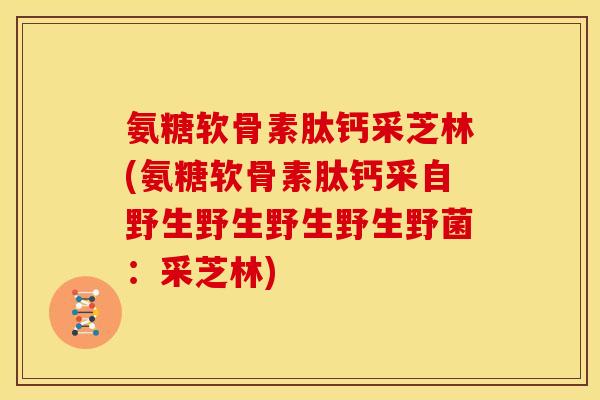 氨糖软骨素肽钙采芝林(氨糖软骨素肽钙采自野生野生野生野生野菌：采芝林)