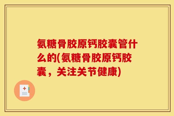 氨糖骨胶原钙胶囊管什么的(氨糖骨胶原钙胶囊，关注关节健康)